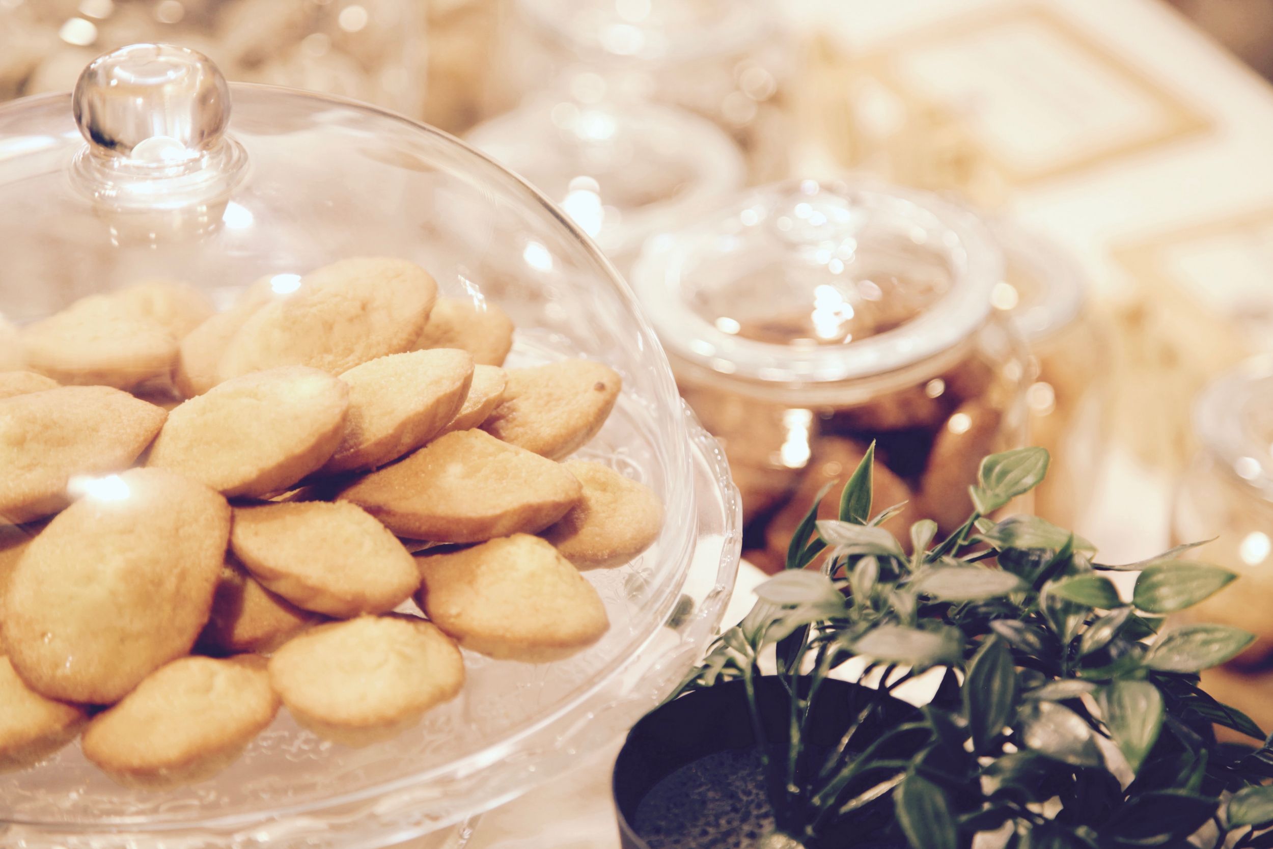 Salon Du Chocolat Et De La Gourmandise