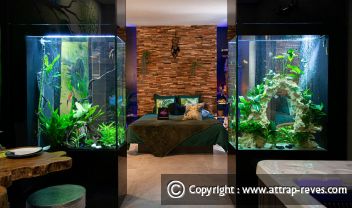 Sleep in a suite and spa with aquarium in France